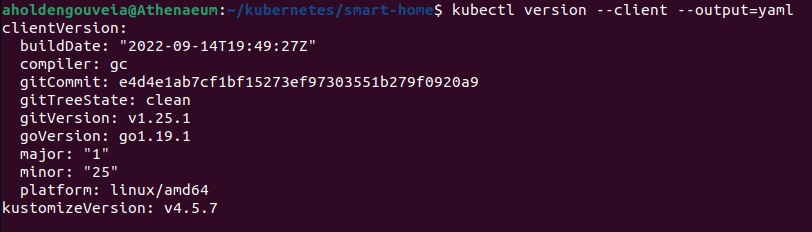 image of checking the install and version of kubectl